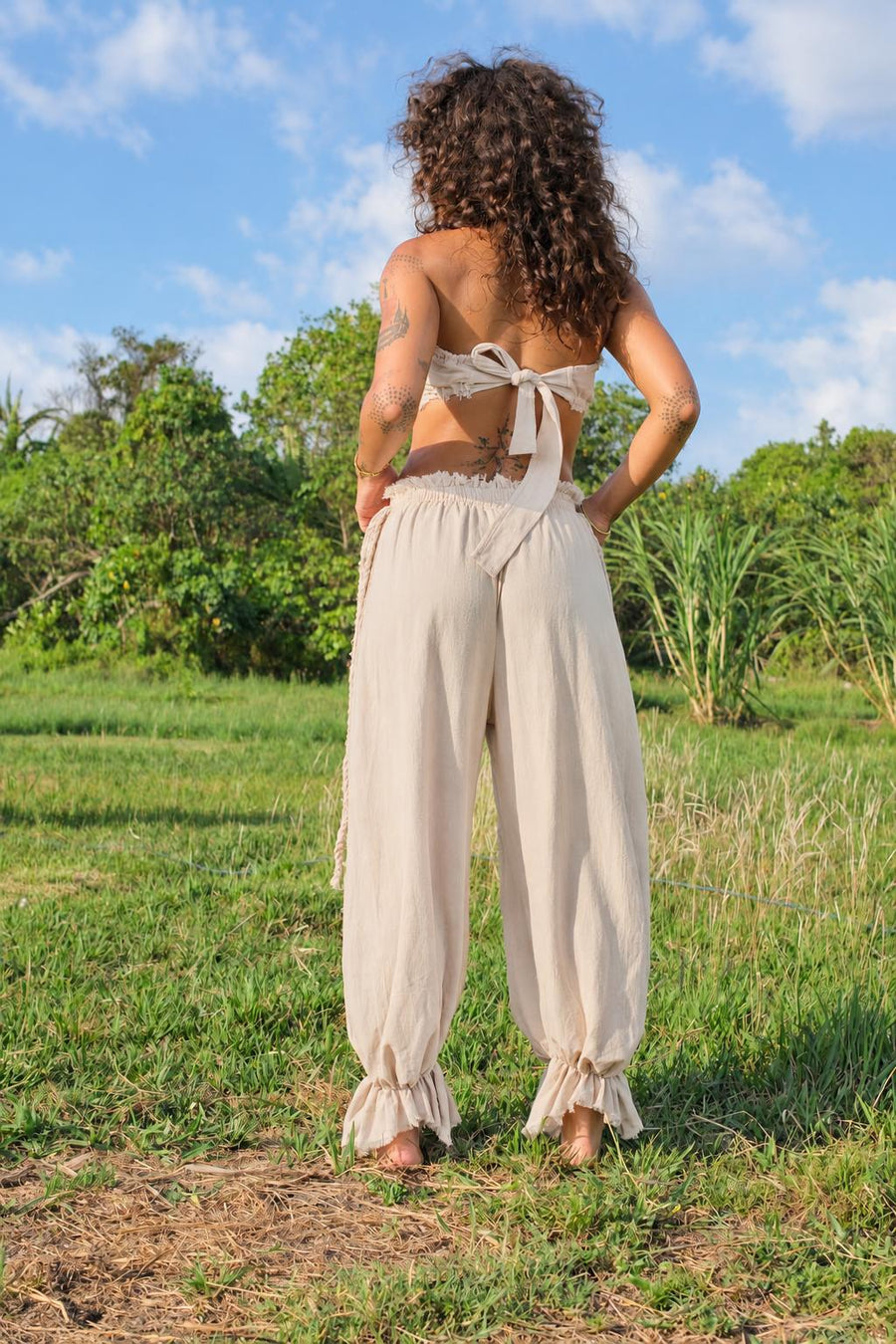 Intuition Pants in cream — back